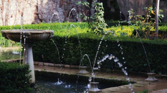 untitled design (35)