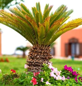 untitled design (37)