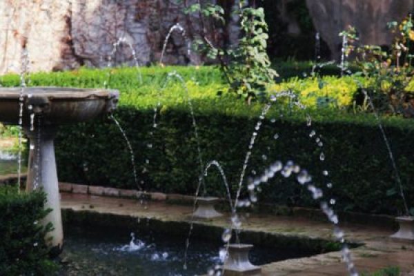 untitled design (35)