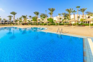 Home beautiful swimming pool and palm trees in egypt